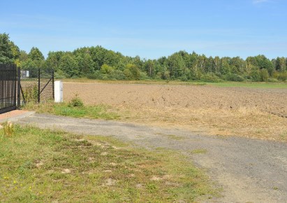 działka na sprzedaż - Żabia Wola, Ojrzanów