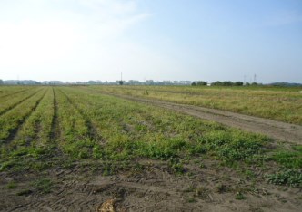 działka na sprzedaż - Grodzisk Mazowiecki, Chlebnia