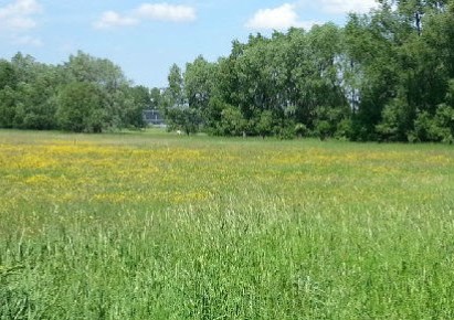 działka na sprzedaż - Grodzisk Mazowiecki, Kopiska