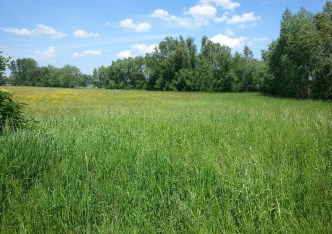 działka na sprzedaż - Grodzisk Mazowiecki, Kopiska