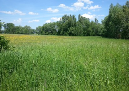 działka na sprzedaż - Grodzisk Mazowiecki, Kopiska