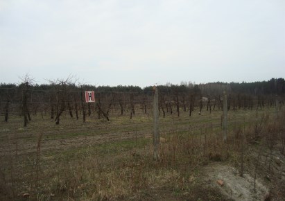 działka na sprzedaż - Tarczyn, Many