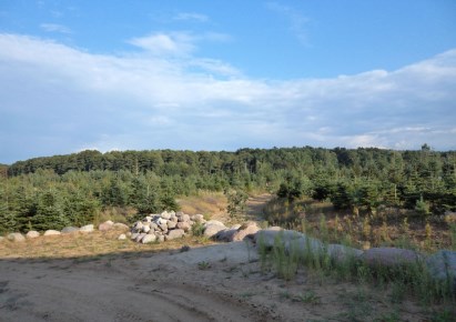 rezydencja na sprzedaż - Żabia Wola, Grzegorzewice