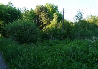 działka na sprzedaż - Wiskitki, Antoniew