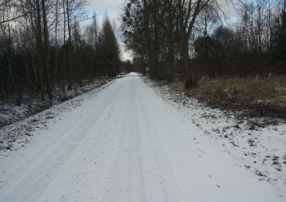 działka na sprzedaż - Wiskitki, Antoniew