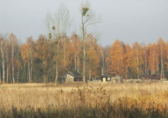 działka na sprzedaż - Skierniewice, Borowiny