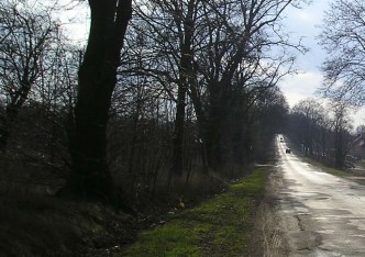 działka na sprzedaż - Skierniewice, Dębowa Góra