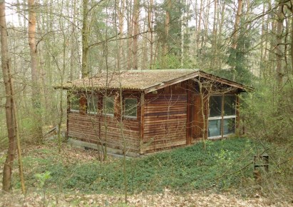 działka na sprzedaż - Radziejowice, Adamów-Wieś