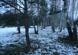 działka na sprzedaż - Żabia Wola, Lasek