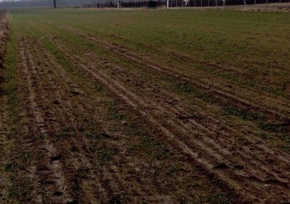 działka na sprzedaż - Nowy Kawęczyn, Budy Trzcińskie