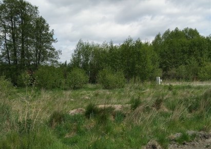 działka na sprzedaż - Jaktorów, Chylice