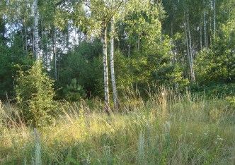 działka na sprzedaż - Żabia Wola, Żelechów