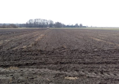 działka na sprzedaż - Łowicz (gw), Guźnia