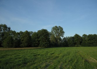 działka na sprzedaż - Jaktorów, Jaktorów/Budy Zosine