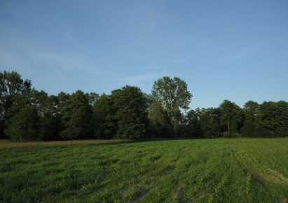 działka na sprzedaż - Jaktorów, Jaktorów/Budy Zosine