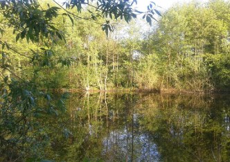 działka na sprzedaż - Michałowice, Pęcice