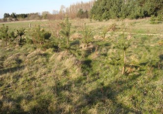 działka na sprzedaż - Żabia Wola, Żelechów