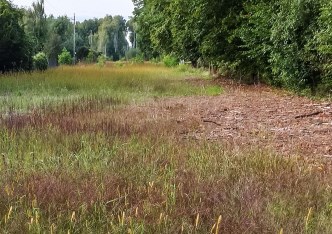 działka na sprzedaż - Grodzisk Mazowiecki, Makówka