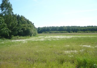 działka na sprzedaż - Bolimów, Joachimów-Mogiły