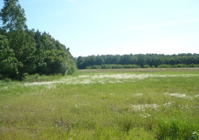 działka na sprzedaż - Bolimów, Joachimów-Mogiły