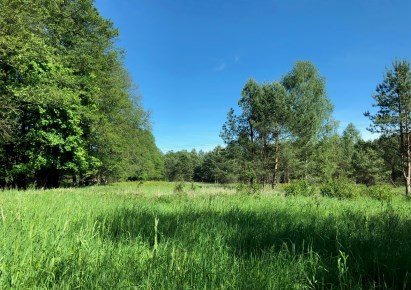 działka na sprzedaż - Nidzica, Wały