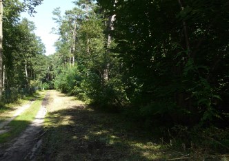 działka na sprzedaż - Puszcza Mariańska, Olszanka