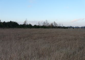 działka na sprzedaż - Skierniewice, Sierakowice Lewe