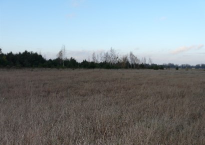 działka na sprzedaż - Skierniewice, Sierakowice Lewe