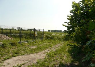działka na sprzedaż - Skierniewice