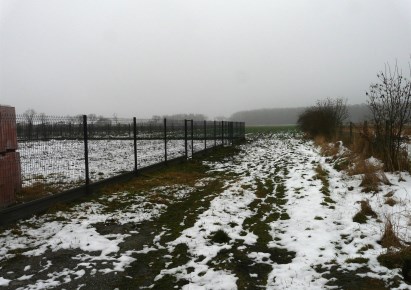 działka na sprzedaż - Skierniewice