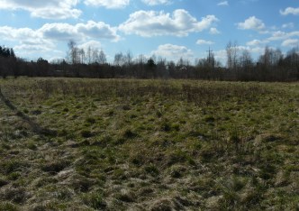 działka na sprzedaż - Puszcza Mariańska, Grabina Radziwiłłowska