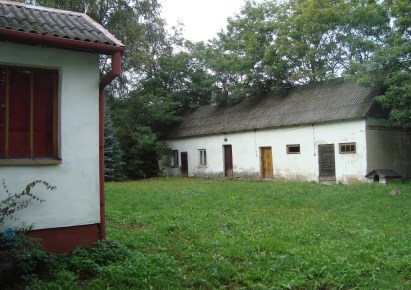 dom na sprzedaż - Żabia Wola, Bolesławek