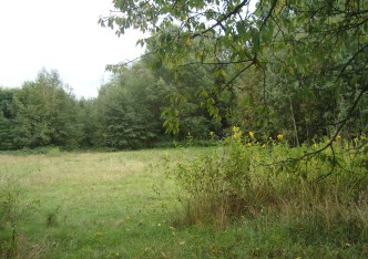 działka na sprzedaż - Żabia Wola, Bolesławek