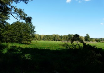 działka na sprzedaż - Bolimów, Ziemiary