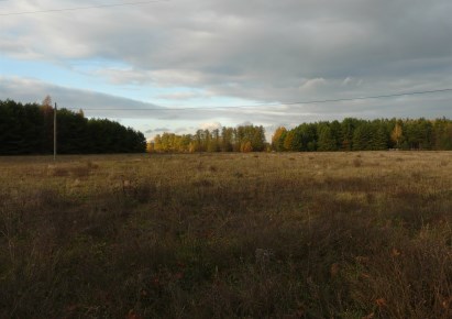 działka na sprzedaż - Puszcza Mariańska