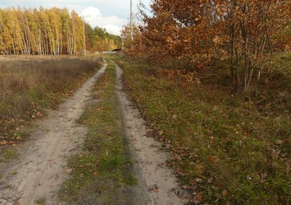 działka na sprzedaż - Puszcza Mariańska