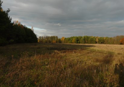 działka na sprzedaż - Puszcza Mariańska