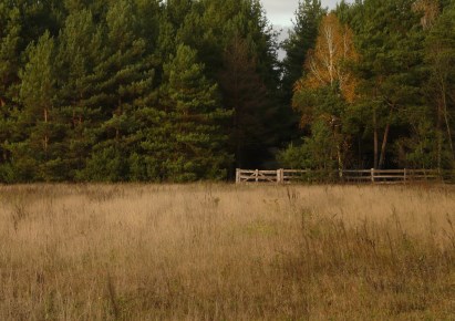 działka na sprzedaż - Puszcza Mariańska