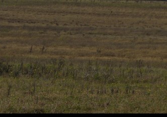 działka na sprzedaż - Puszcza Mariańska, Stary Łajszczew