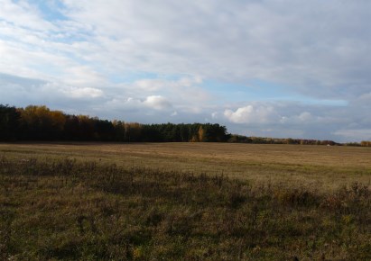 działka na sprzedaż - Puszcza Mariańska, Wycześniak