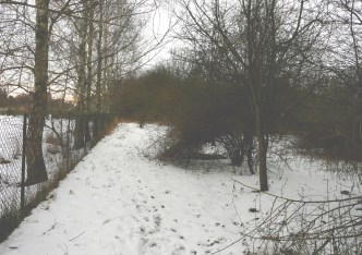 działka na sprzedaż - Skierniewice