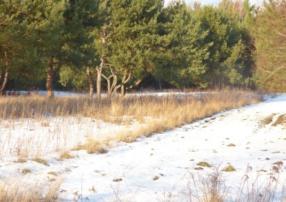 działka na sprzedaż - Żabia Wola, Osowiec