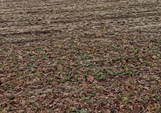 działka na sprzedaż - Jaktorów, Budy Zosine