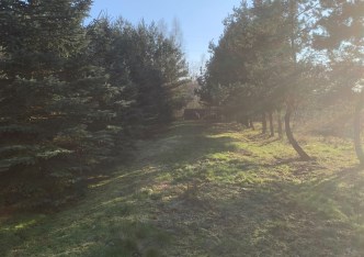 działka na sprzedaż - Mszczonów (gw), Adamowice
