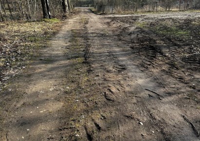 działka na sprzedaż - Banie Mazurskie, Widgiry