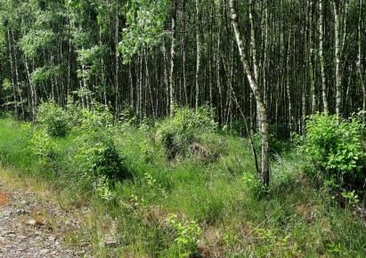 działka na sprzedaż - Puszcza Mariańska, Wycześniak