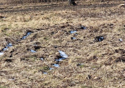 działka na sprzedaż - Nadarzyn, Urzut
