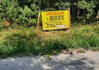 działka na sprzedaż - Kampinos, Łazy, Kolonia Ludwików