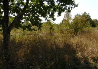 działka na sprzedaż - Skierniewice