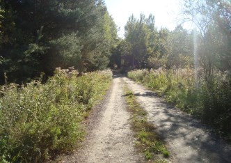 działka na sprzedaż - Żabia Wola, Żelechów